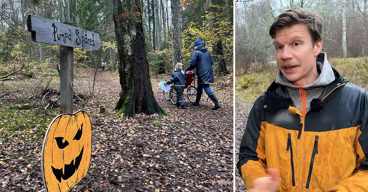 Halloweentjuvar förstörde barnens pumpastig – spöken och skelett stulna i Västerås