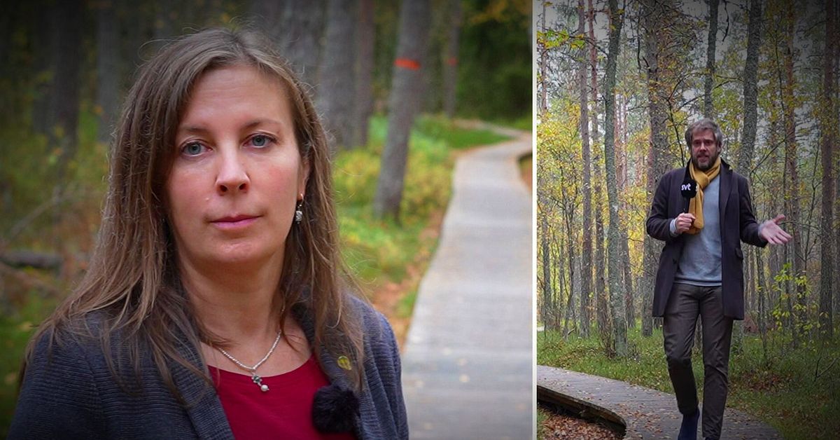 Oro n&auml;r satsning p&aring; milj&ouml; f&ouml;rsvinner: &rdquo;Ser stora risker med det h&auml;r&rdquo;