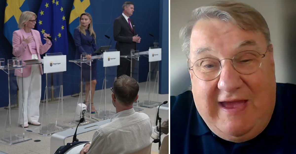 Experten om Tidöpartiernas elpristak: ”Valfläsk”