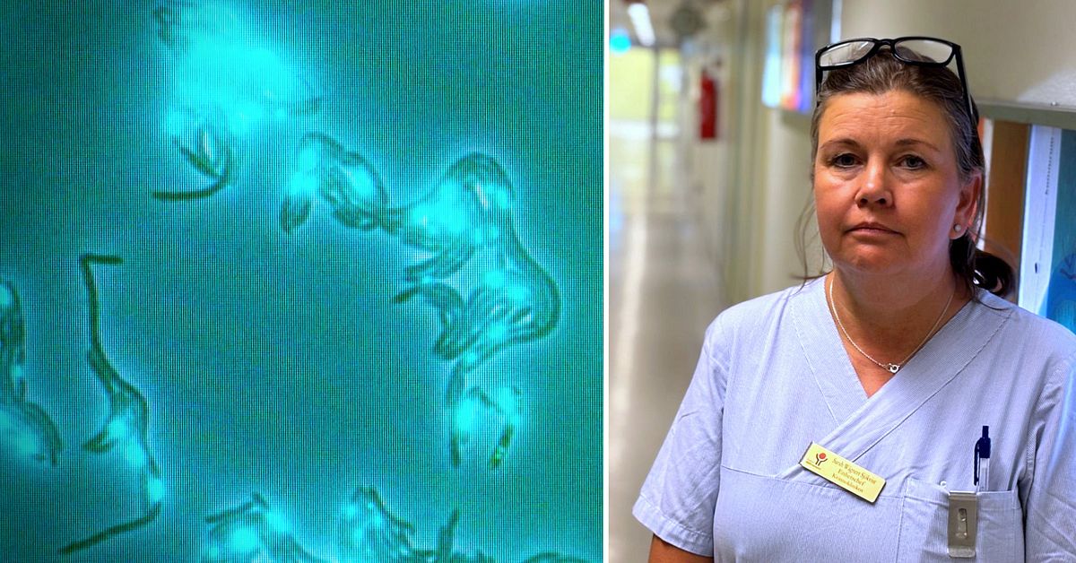 Flera patienter smittade av bakterien MRSA på BB och förlossningen i Västerås