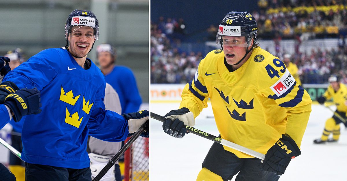 Fabian Zetterlund och Joel Eriksson Ek växte upp som grannar – nu spelar de VM ihop