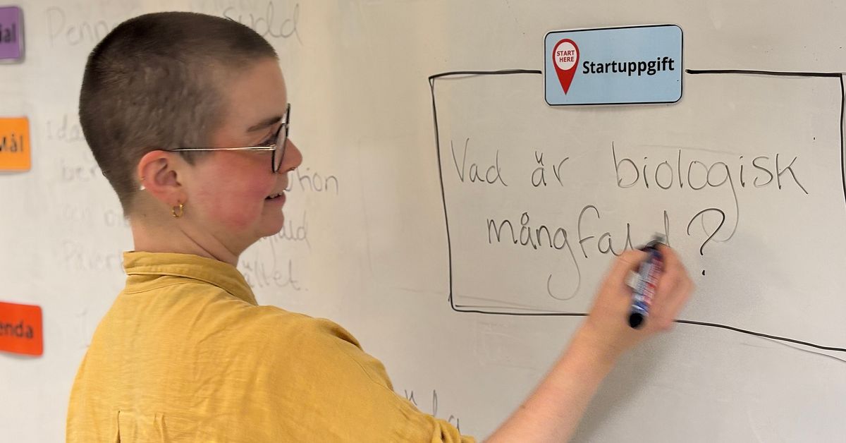 Gällivarebon Moa, 28, byter yrke – utbildning ska minska lärarkris