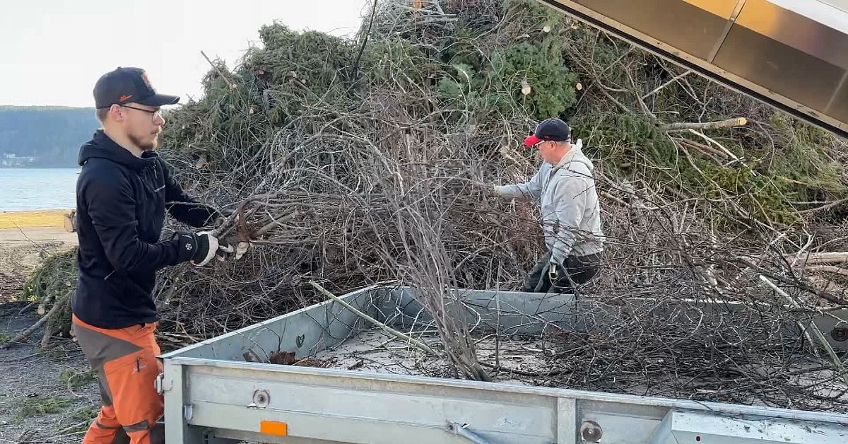 Efter branden reser sig majbrasan på nytt i Lugnvik inför Valborg