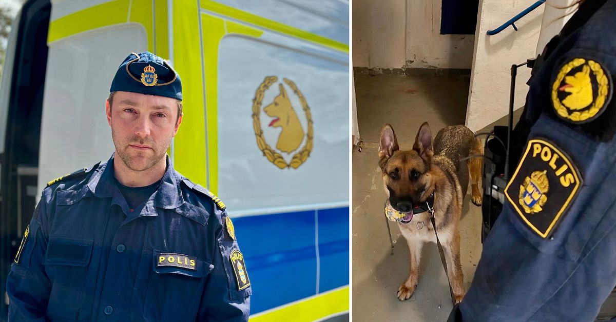 Polischefen om privata s&ouml;khundar: &rdquo;R&auml;ttss&auml;kerheten kan bli lidande&rdquo;