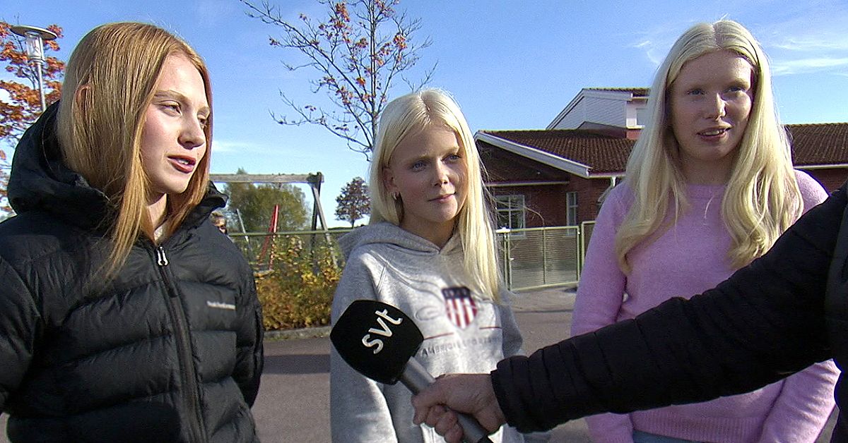 Inställda lektioner och obehöriga lärare – unga i glesbygd får inte likvärdig utbildning