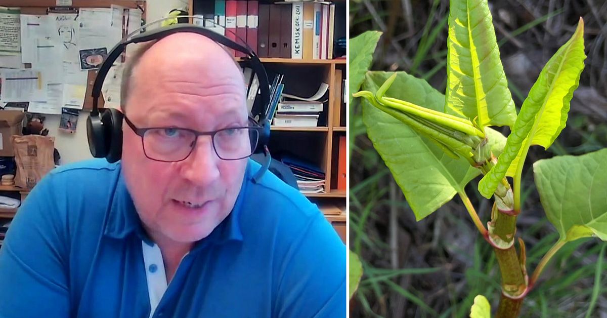 Mörbylångas metod mot parkslide stoppades – i dag är platsen en grön gräsmatta