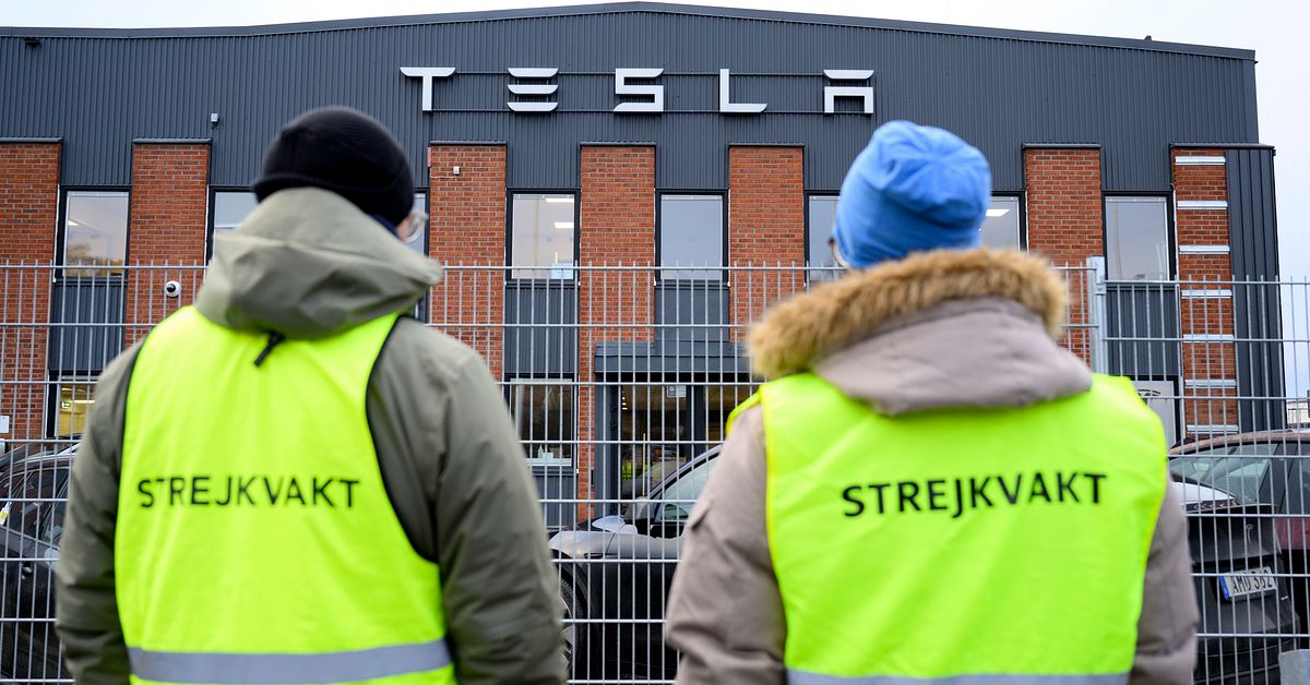Blockad mot Teslas planer i Kalmar