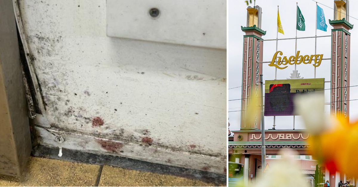 Nya brister vid inspektion av restaurangen p&aring; Liseberg