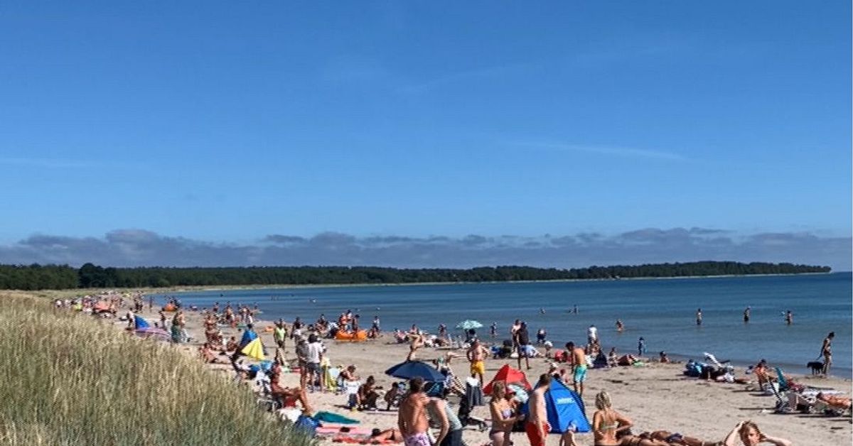 Misstänkt bedrägeri mot turister på Gotland – två anhållna
