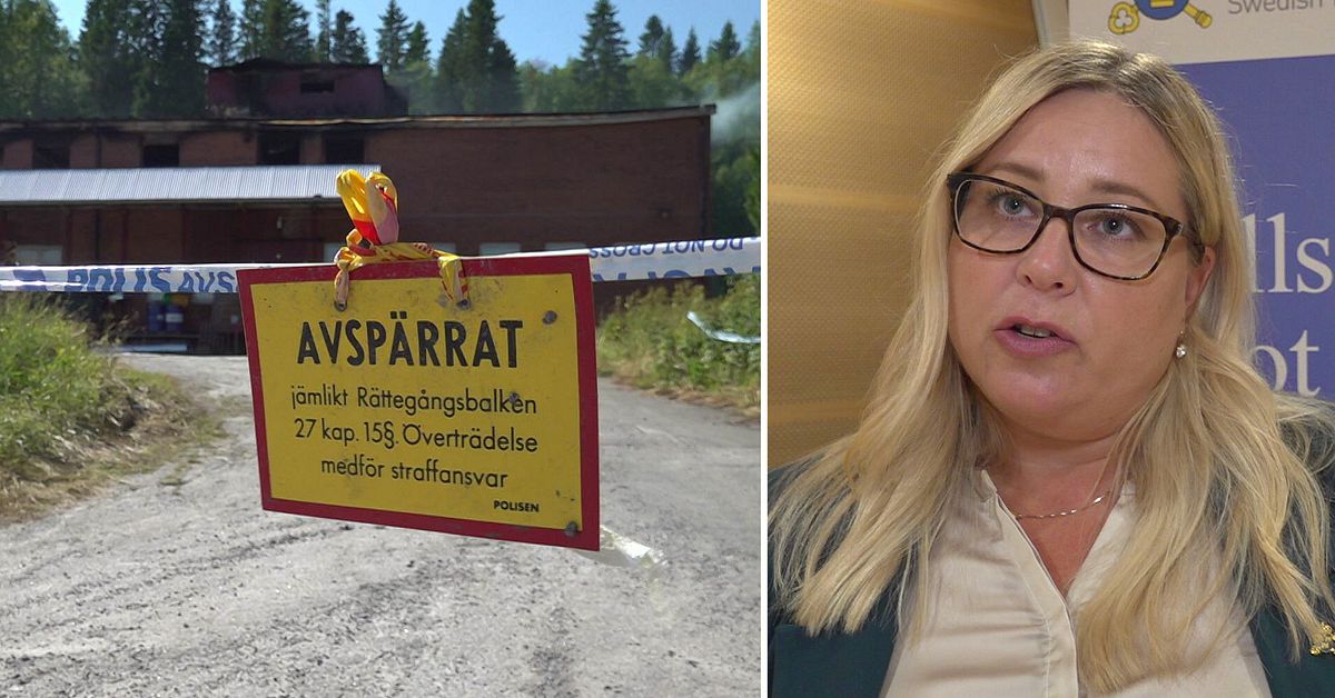 Grov organiserad brottslighet bakom cigarettfabrikerna: ”Enorma vinster”