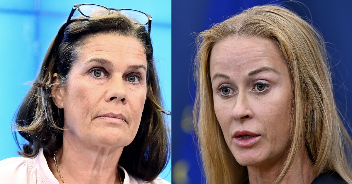 Efter &Aring;kessons anklagelse &ndash; h&ouml;r vildarnas f&ouml;rklaring