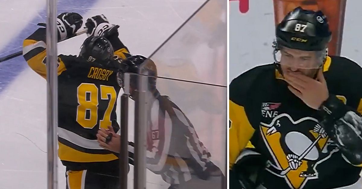 H&auml;r f&aring;r Sidney Crosby en sm&auml;ll i ansiktet &ndash; av domaren