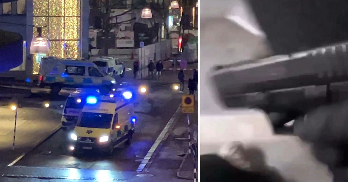 Mordet p&aring; Gaboro &ndash; &aring;klagaren yrkar p&aring; livstid