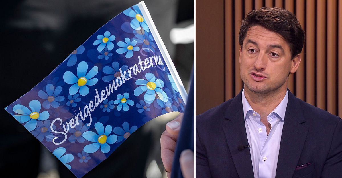 Larmade om avg&aring;ende SD-ledamoten &ndash; efter &rdquo;s&auml;rskilt h&auml;nsynsl&ouml;s film&rdquo;