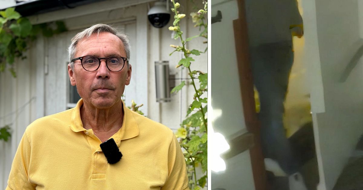 Film från inbrott publicerades – nu är misstänkt tjuv häktad