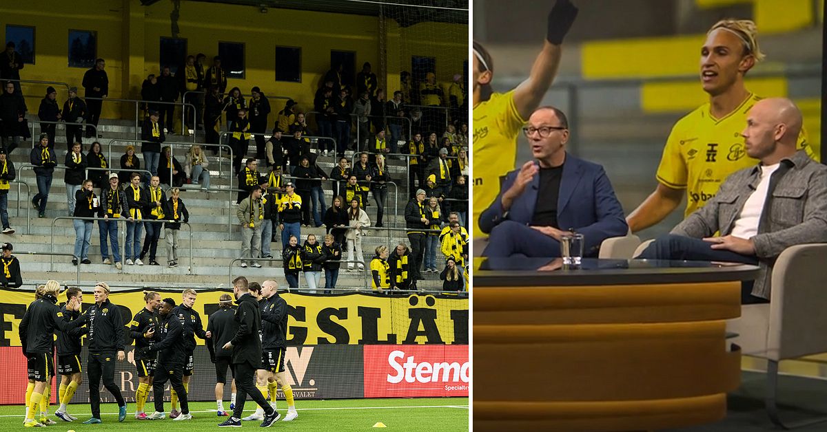 Experterna rasar mot bilderna i Bor&aring;s: &rdquo;Pinsamt, skamligt&rdquo;