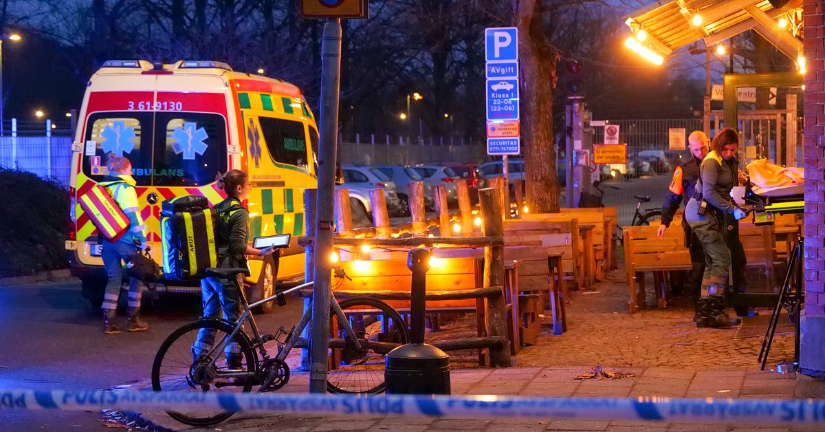 Man skottskadad i benet &ndash; sk&ouml;ts i en park Malm&ouml;