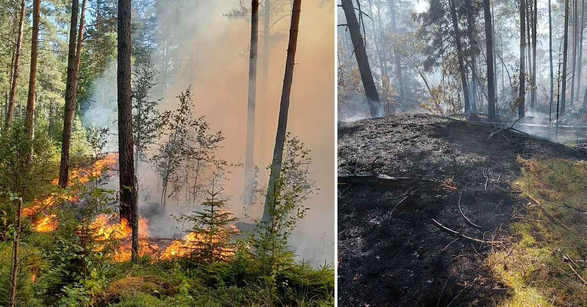 Skogsbrand vid sj&ouml; i S&ouml;rmland &ndash; r&auml;ddningstj&auml;nsten varnar f&ouml;r extrem brandrisk