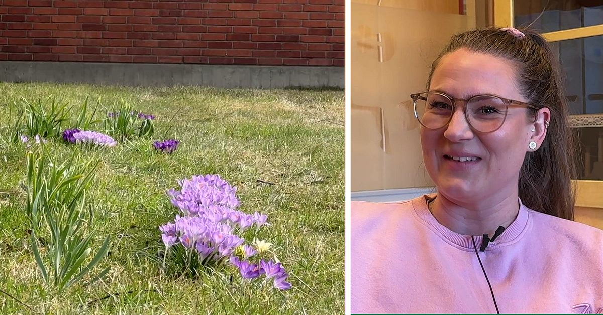 S&aring; l&ouml;ser Str&ouml;msunds kommun p&aring;sklovsaktiviteter utan sn&ouml;