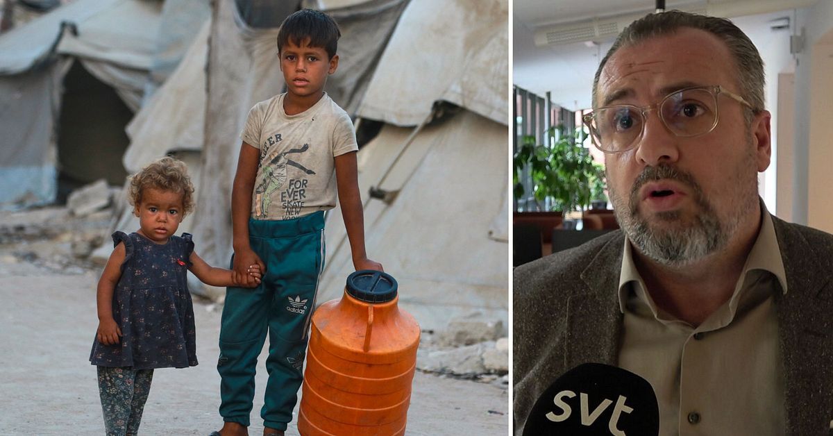 Malmö stad vill ta emot föräldralösa barn från Gaza: ”Självklarhet”