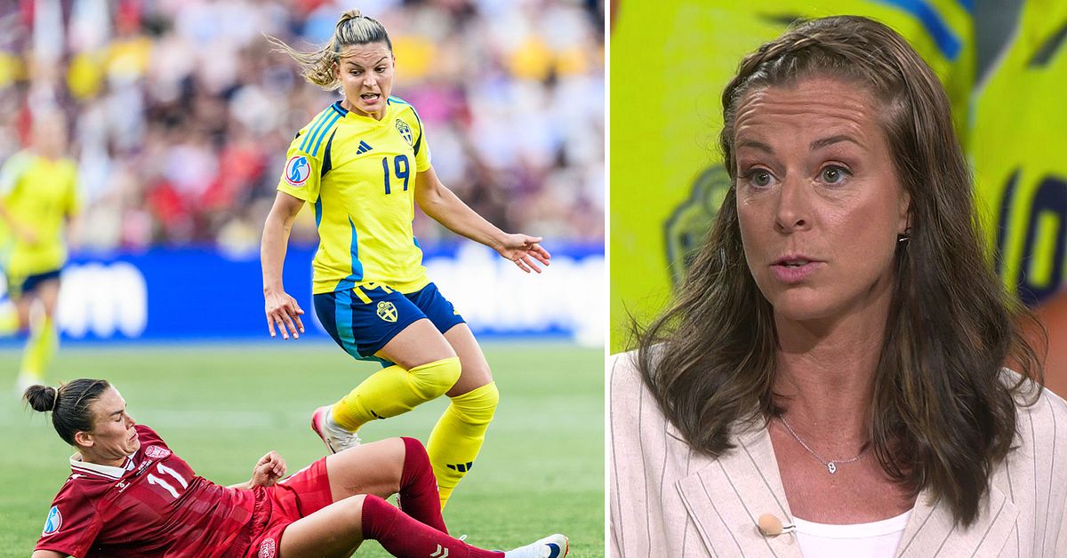 Experterna förklarar: Det måste Sverige ändra på mot Polen