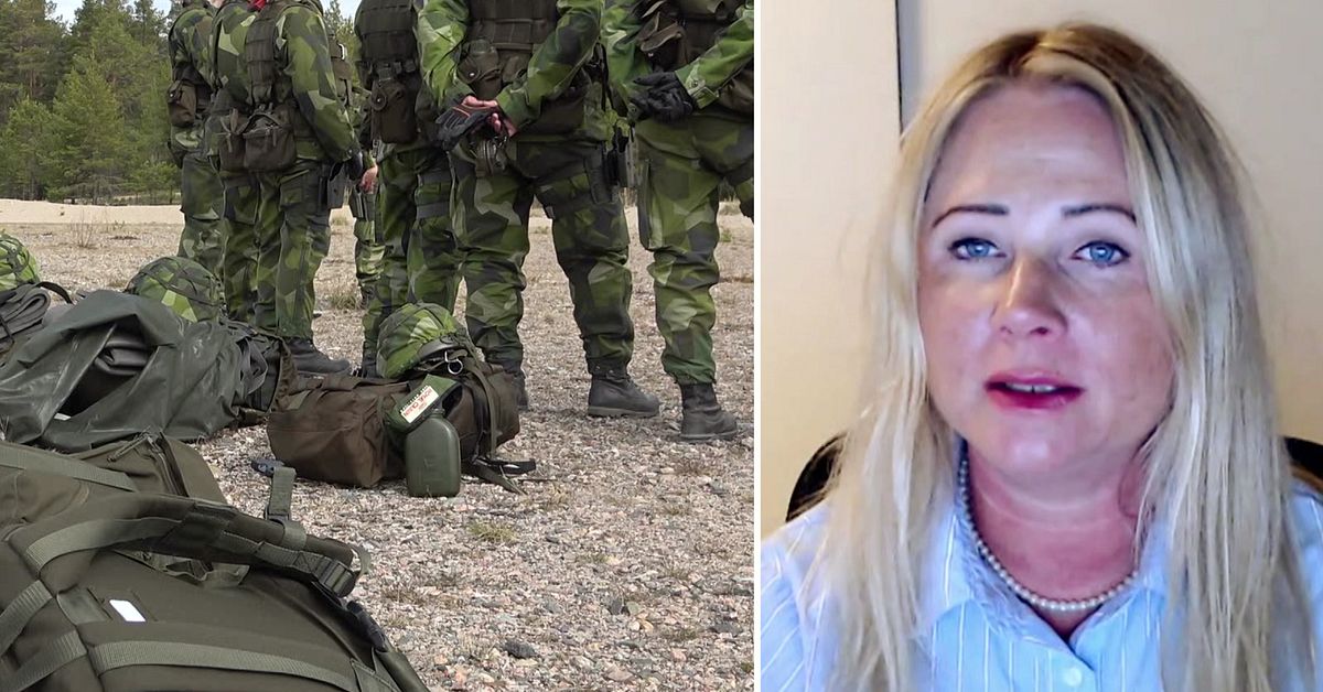 Forskare om larmet fr&aring;n f&ouml;rsvaret i Ume&aring;: &rdquo;Inte f&ouml;rv&aring;nande&rdquo;
