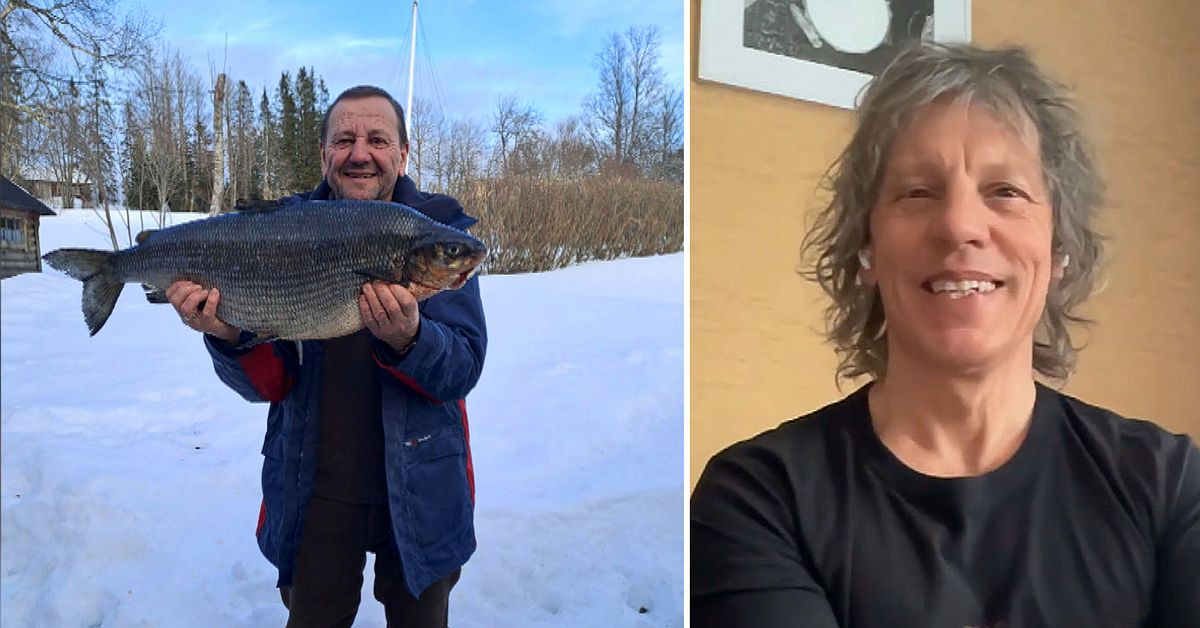 J&auml;ttesik f&aring;ngad i Land&ouml;sj&ouml;n &ndash; kan vara Sveriges st&ouml;rsta