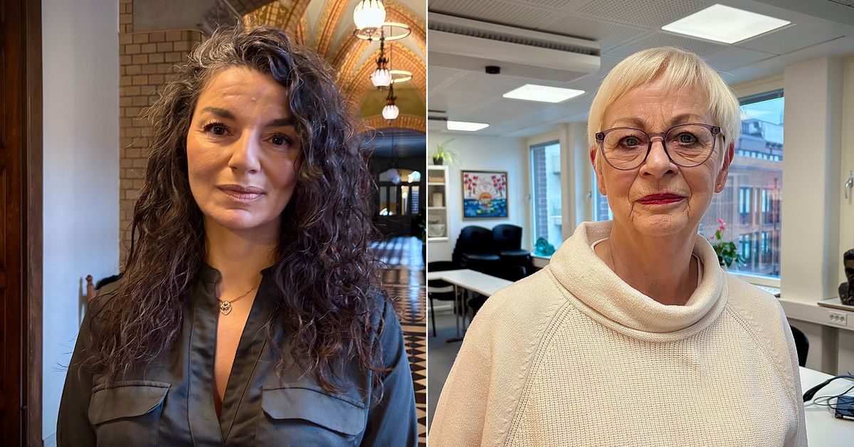 Akutskola &ouml;ppnar i Helsingborg &ndash; splittrar politikerna: &rdquo;Konstgjord andning&rdquo;