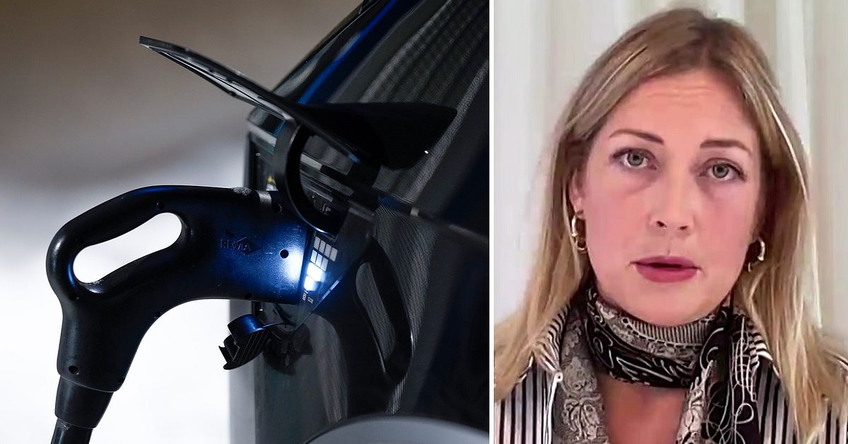 Ekonomen: Då kan priset på elbilar gå ner