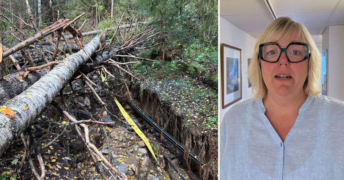 Kostsamt skyfall för kommunerna – ”Vi behöver få torka upp nu”