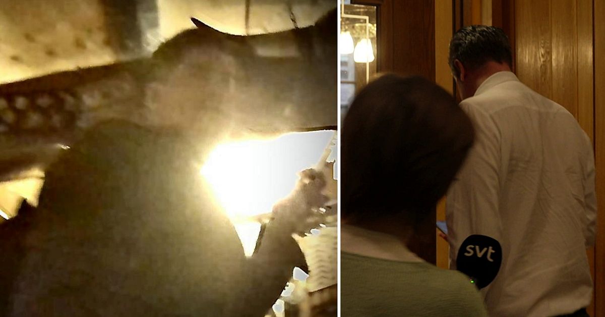 H&auml;r bes&ouml;ker Oscar Sj&ouml;stedt (SD) den misst&auml;nkta svartpuben