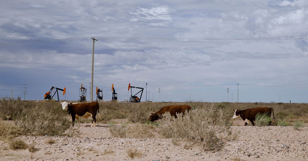 Krig och energikris skapar oljeboom i Argentina