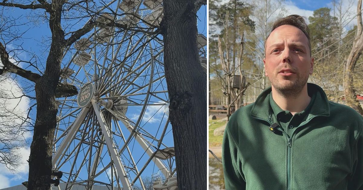 S&aring; ska nya &auml;garna f&aring; liv i Parken Zoo igen &ndash; satsar 20 miljoner kronor: &rdquo;Har varit som ett &ouml;ppet s&aring;r&rdquo;