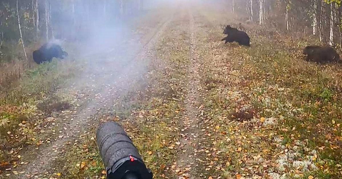 Jaktbrottsdomen &ouml;verklagas