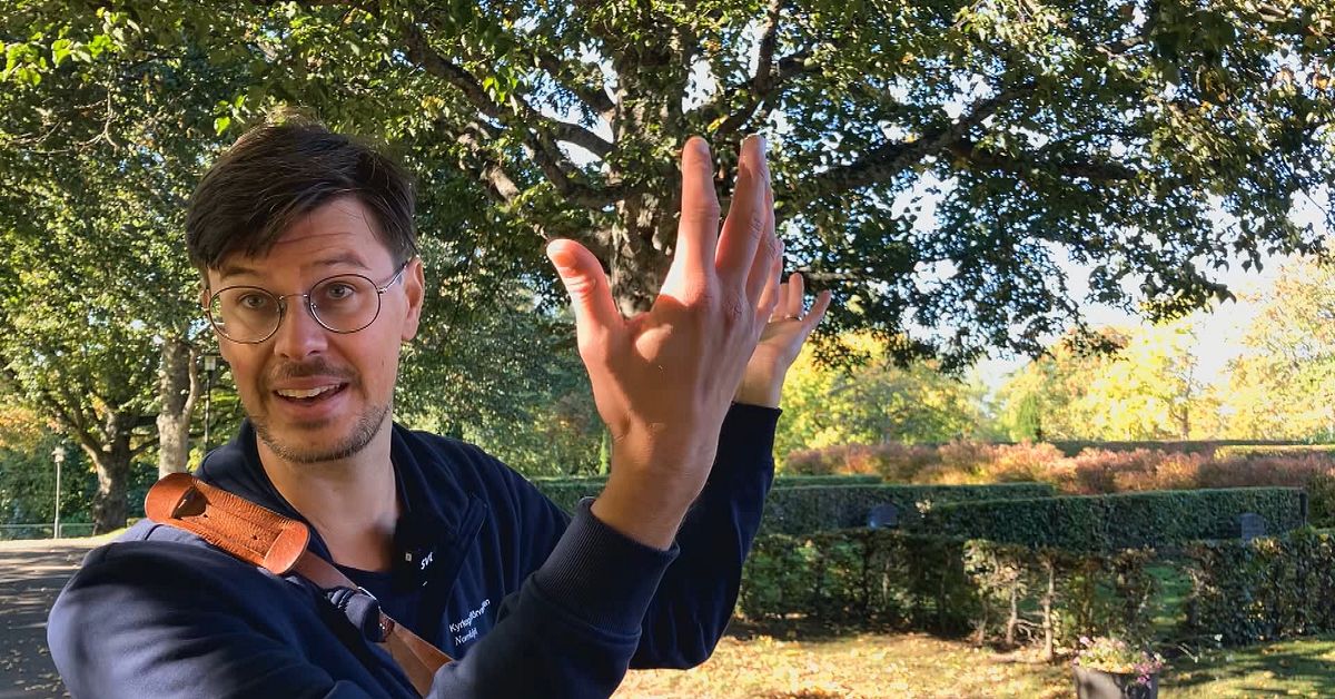 Norrk&ouml;pings prunkande begravningsplats &ndash; s&aring; ska tr&auml;dmilj&ouml;erna bevaras