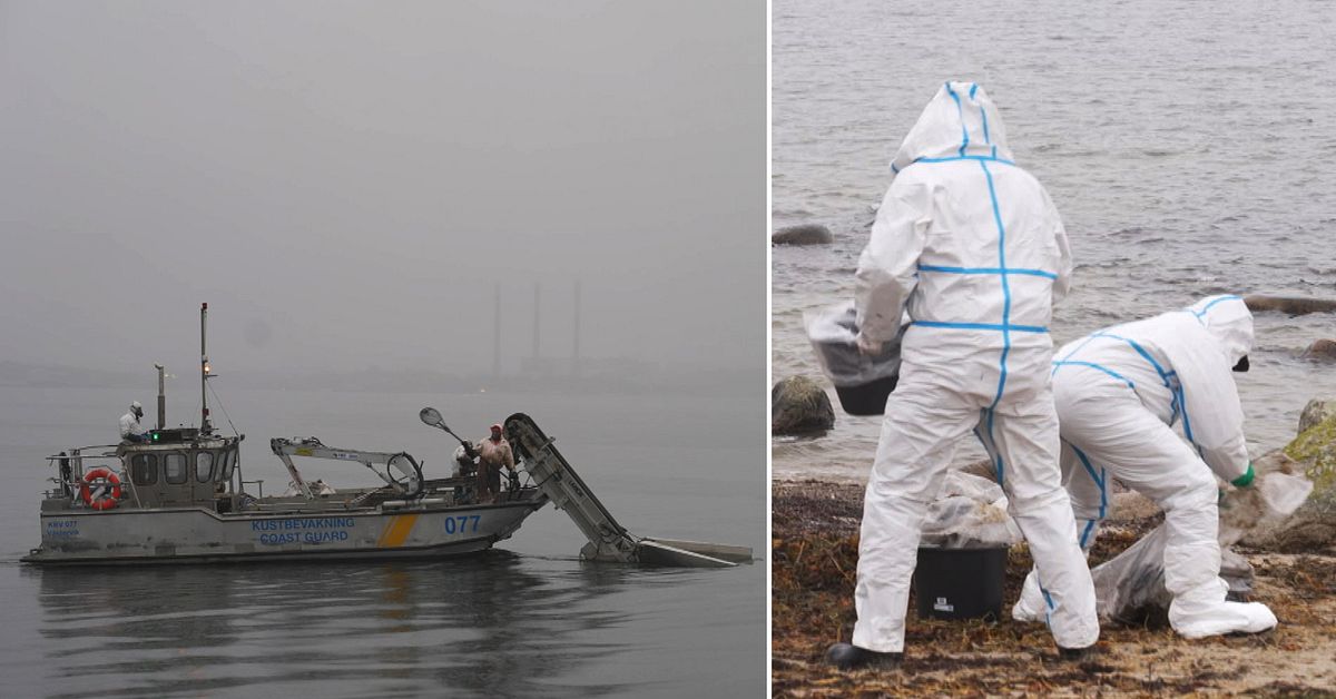 Oljeexperter redo dygnet runt: &rdquo;F&ouml;rbereder f&ouml;r en katastrof&rdquo;