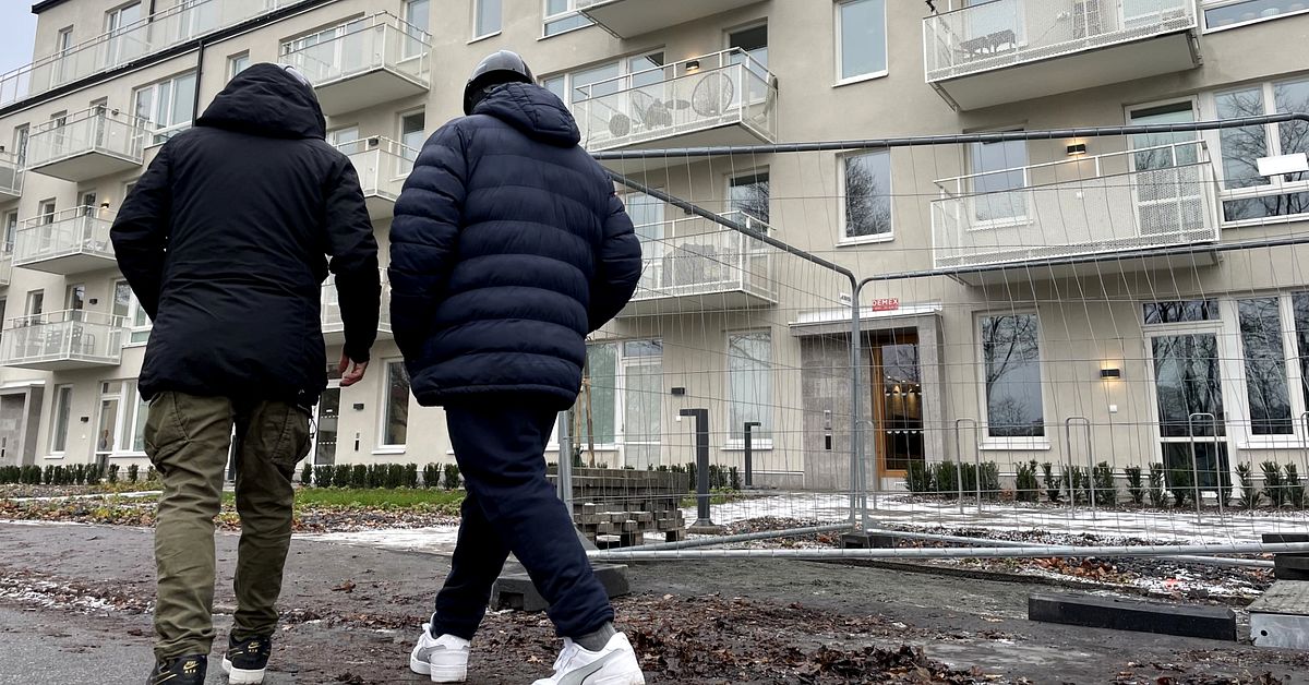 Daniel och Alejandro slet på bygget – lönen uteblev: ”Maktlös och arg ...