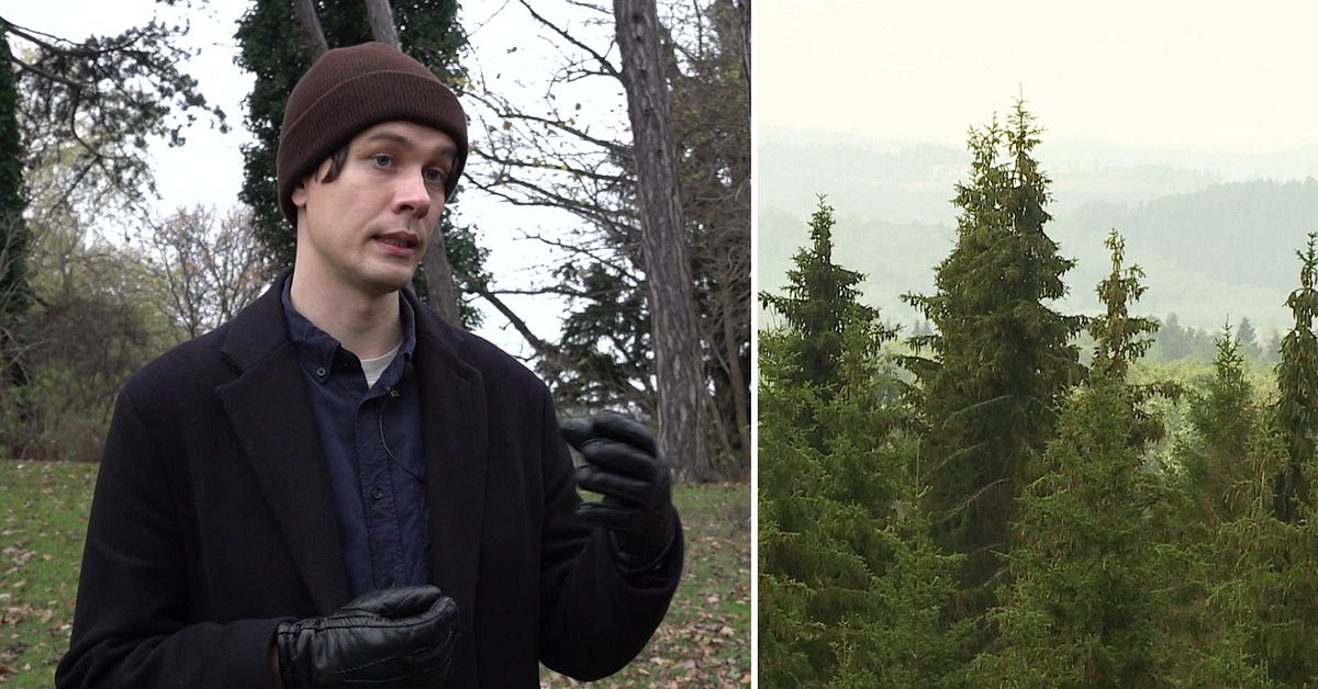 Forskning: En av fem har negativa k&auml;nslor f&ouml;r naturen