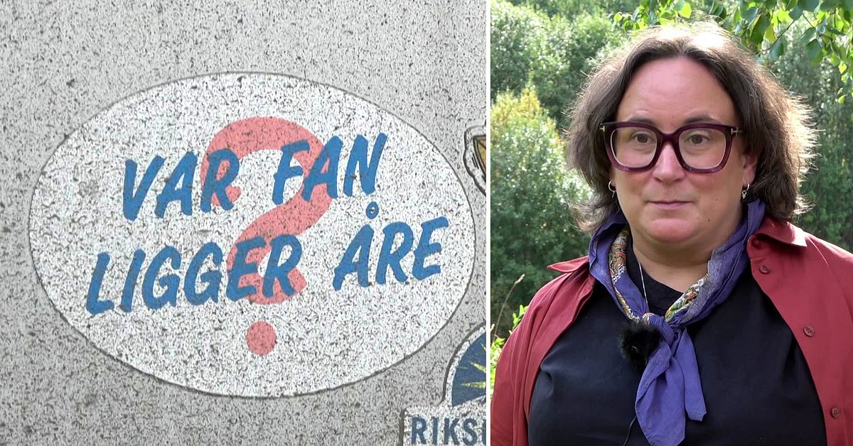 Miljöpartiet vill se turistskatt – ska gynna platser som Åre och Gotland