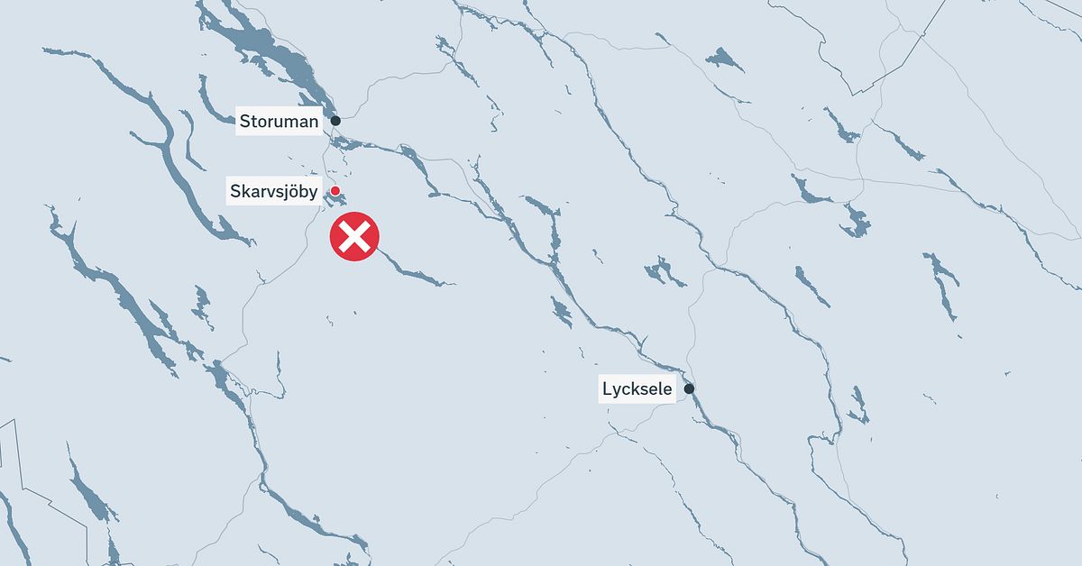 Jägare attackerad av björn – till sjukhus med helikopter