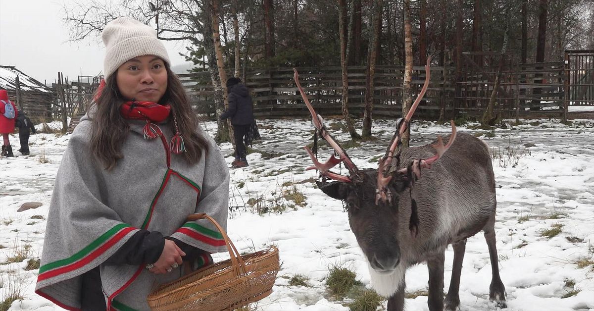 Turistboom i norr – här har omsättningen tredubblats