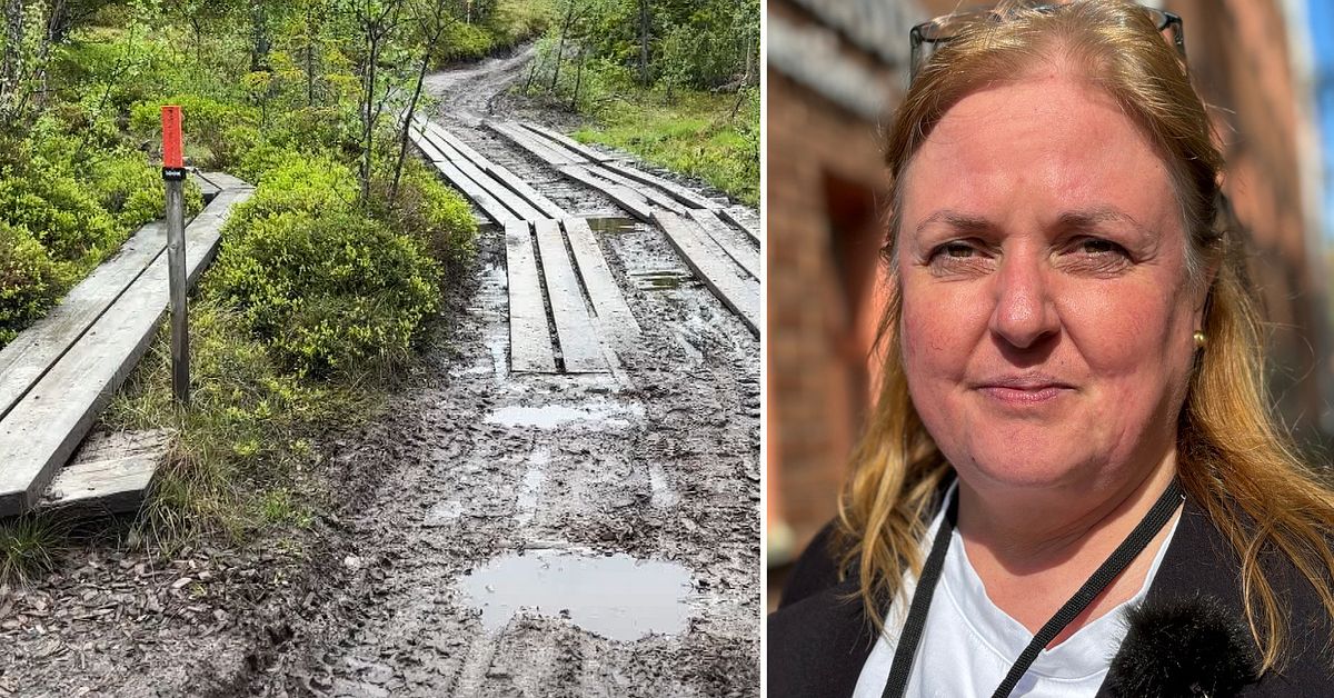 Leden till Hållfjället blev en väg – nu ska den återställas