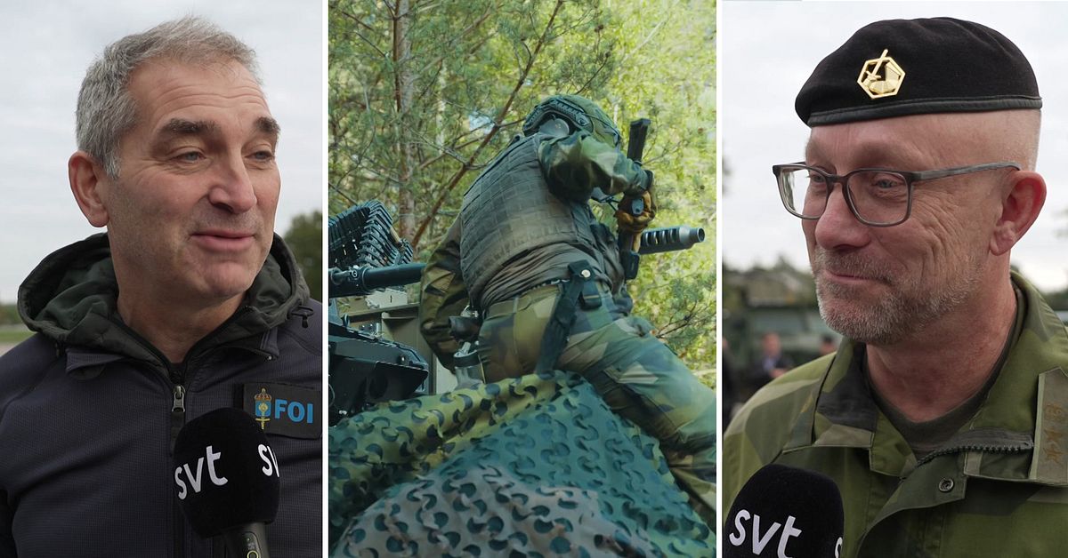 Militärer och forskare skeptiska till drönarmur: Får aldrig totalt skydd