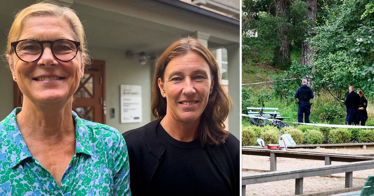14-åring erkänner gängmord – Socialtjänsten i Linköping: ”Finns stora utmaningar”