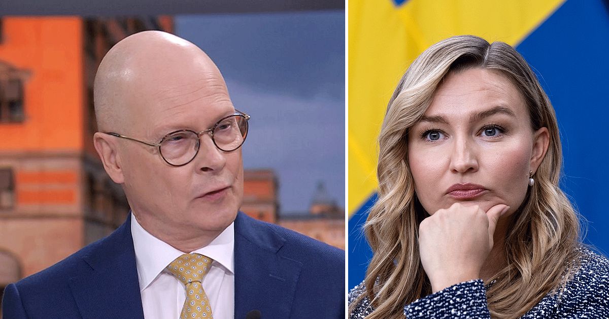 ”Ebba Busch vill ha en sjukvårdsminister som kan växla upp”