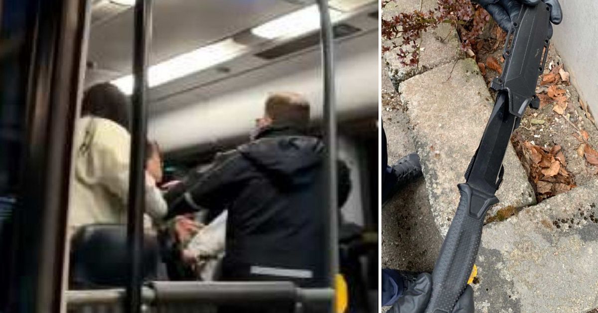 Tonårsflicka knivhöggs på buss i Eslöv – se attacken