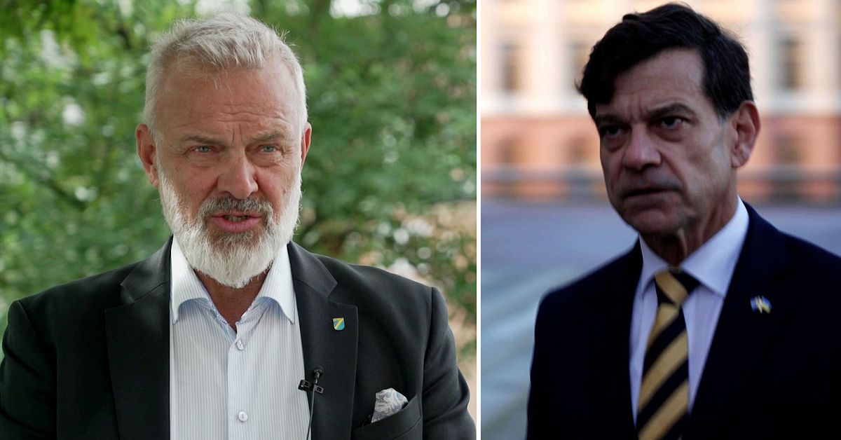 Experten om Landerholm-uppgifter: Oerhört allvarligt