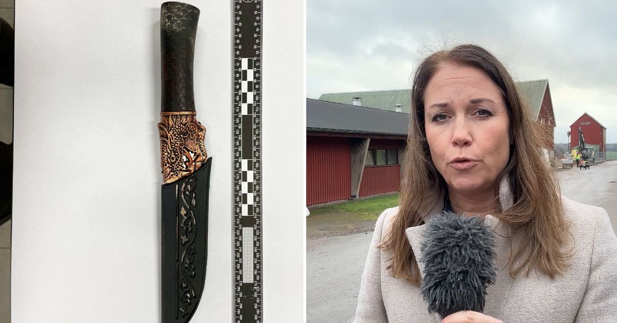 Elev vid Lillerud döms för grovt djurplågeri