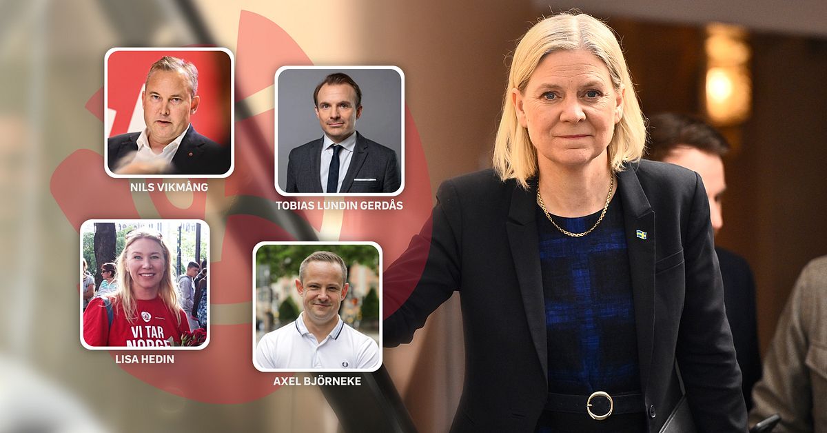 H&auml;r &auml;r doldisarna som ska l&ouml;sa regeringspusslet