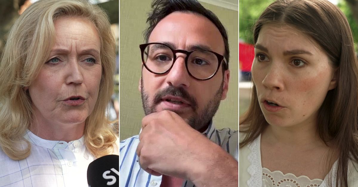 Partiernas press p&aring; S: &rdquo;Beh&ouml;ver se &ouml;ver hela migrationspolitiken&rdquo;